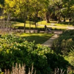 Valencia instala sistema de riego inteligente en una prueba piloto, como el jardín que muestra la imagen.