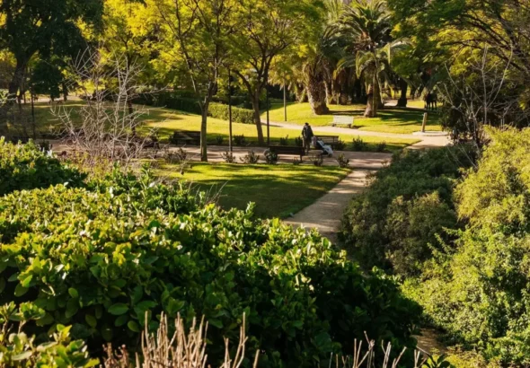 Valencia instala sistema de riego inteligente en una prueba piloto, como el jardín que muestra la imagen.