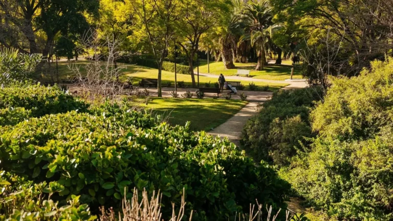Valencia instala sistema de riego inteligente en una prueba piloto, como el jardín que muestra la imagen.