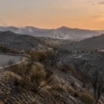 Los Gallardos tras el incendio forestal de julio